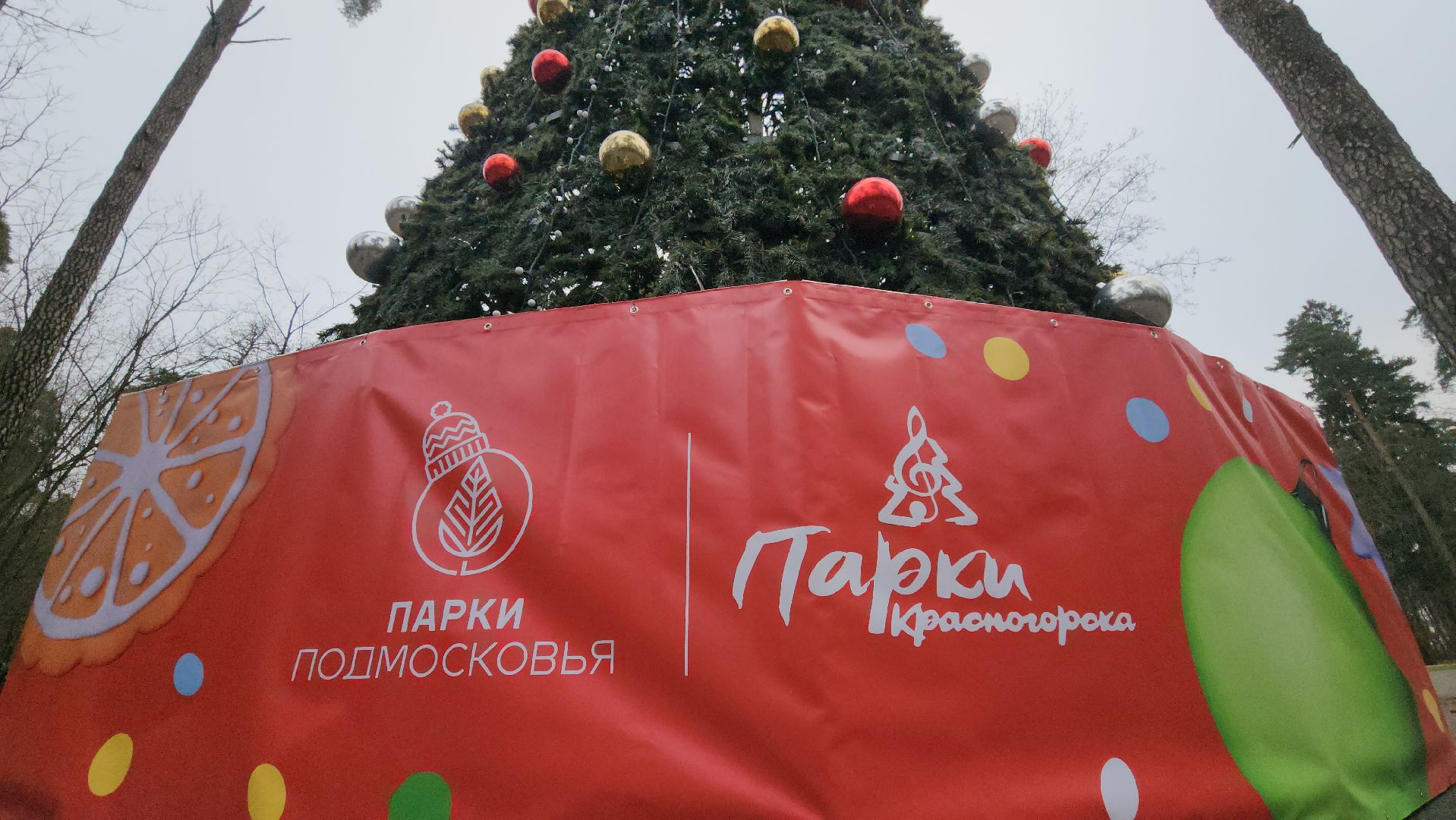 зима в подмосковье, красногорск,