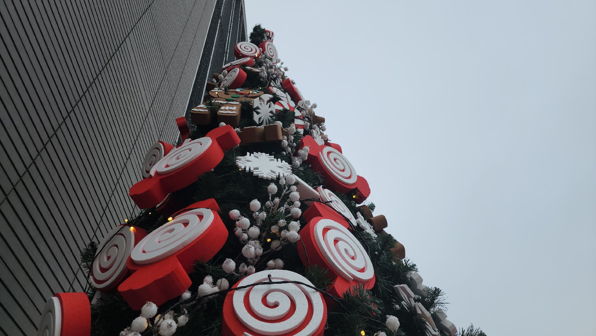 зима в подмосковье, красногорск,