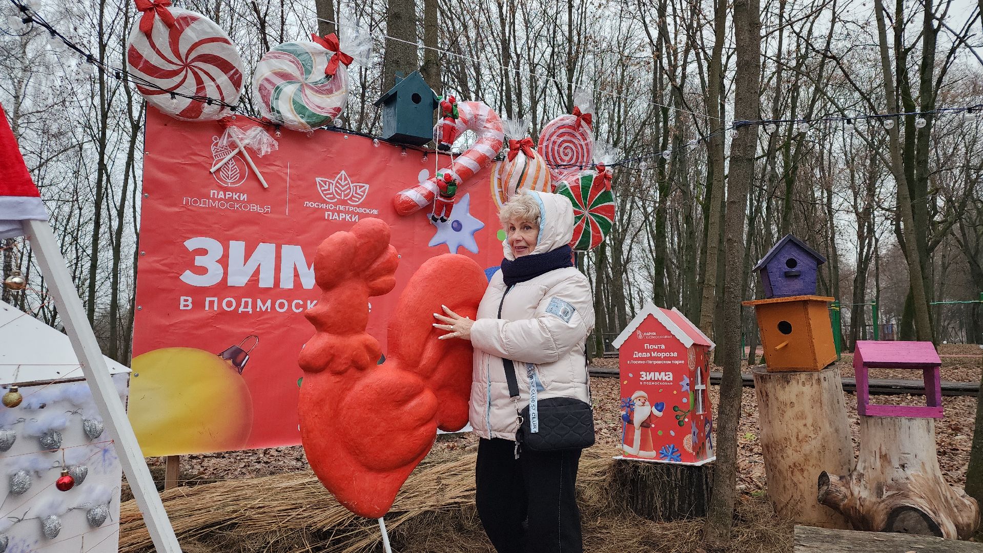 зима в подмомсковье, праздник, парки подмосковья, лосино-петровский,