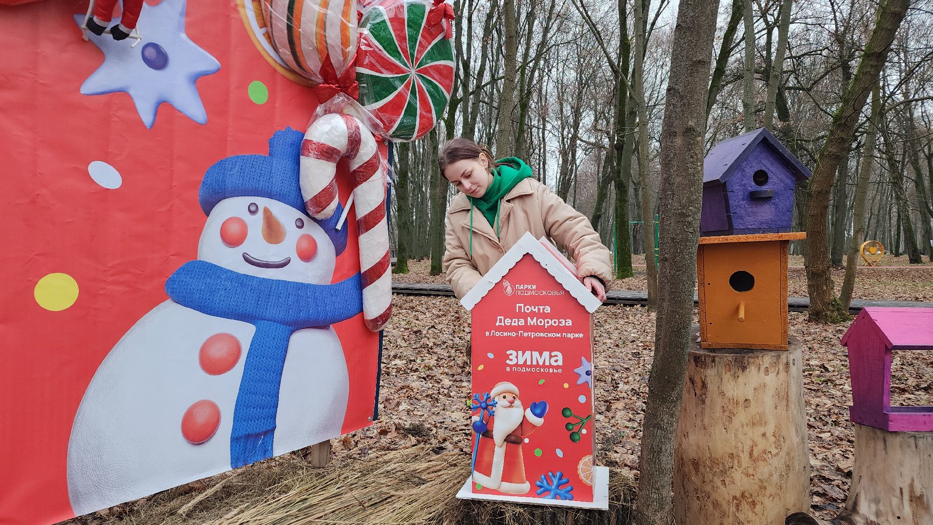 зима в подмомсковье, праздник, парки подмосковья, лосино-петровский,