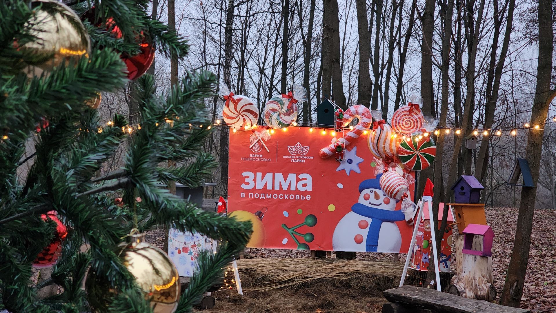 зима в подмомсковье, праздник, парки подмосковья, лосино-петровский,