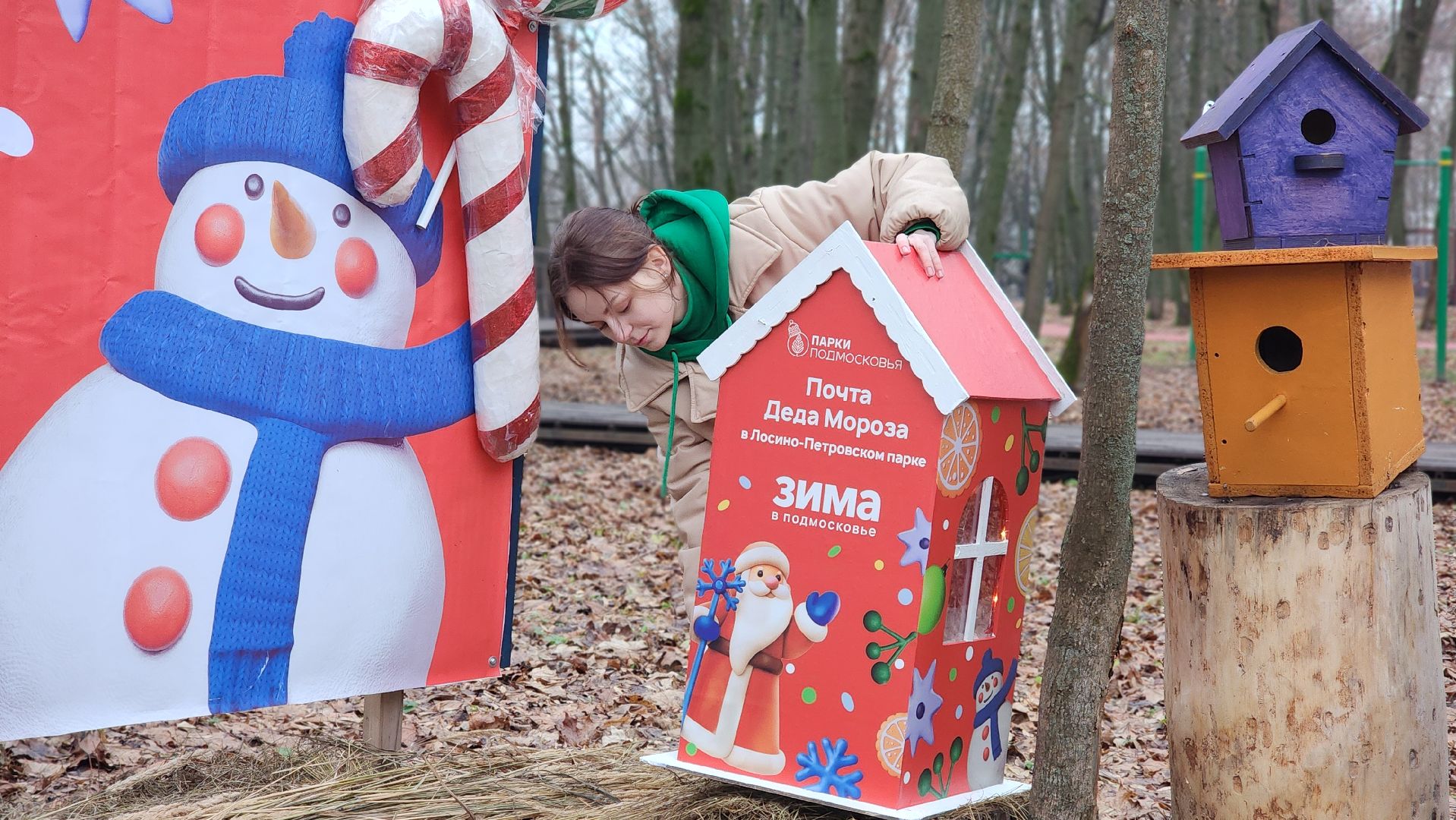 зима в подмомсковье, праздник, парки подмосковья, лосино-петровский,
