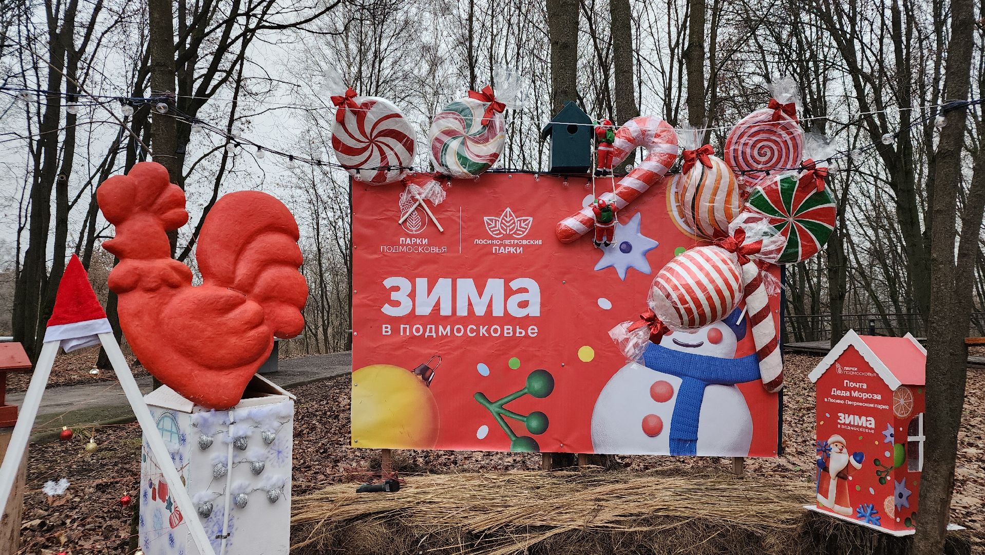 зима в подмомсковье, праздник, парки подмосковья, лосино-петровский,