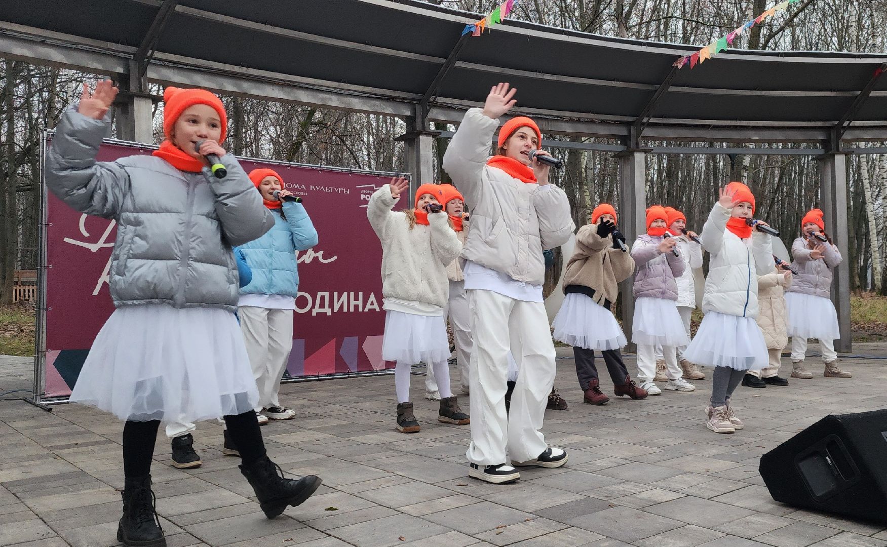 Химки, Зима в Подмосковье , Культура , Досуг,