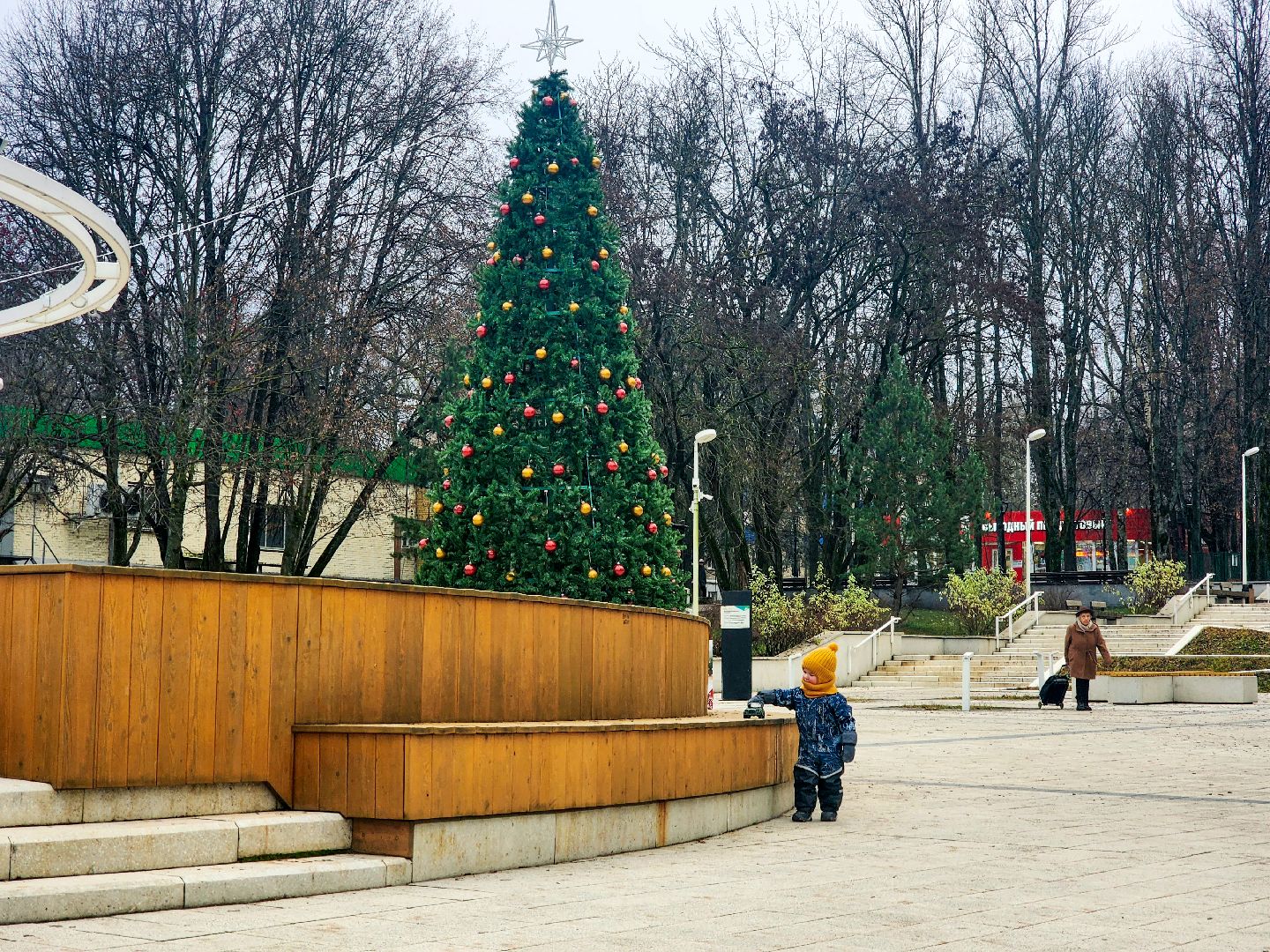 новый год,серпухов, пущино,