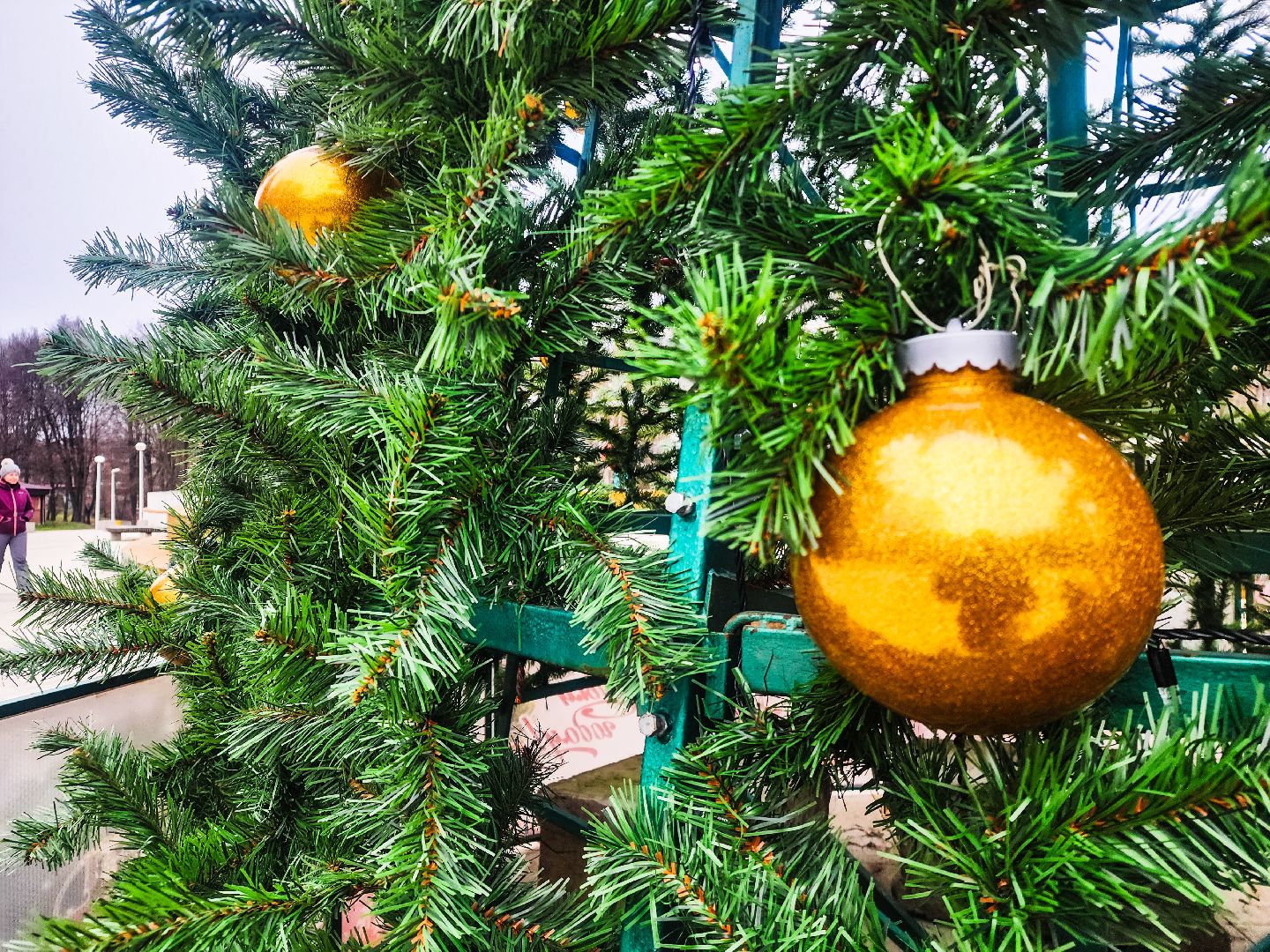 новый год,серпухов, пущино,