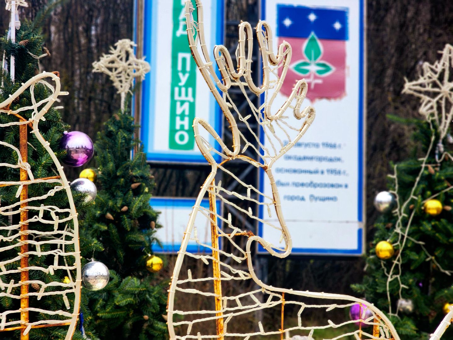 пущино,  серпухов, новый год 2026,