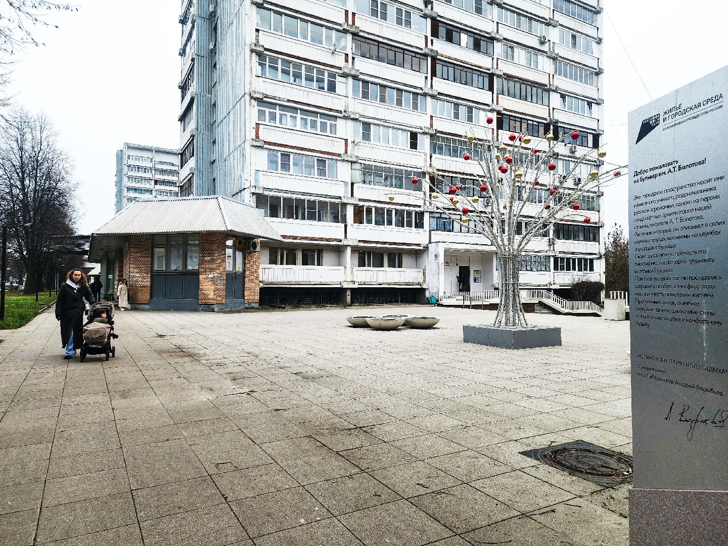 пущино,  серпухов, новый год 2026,