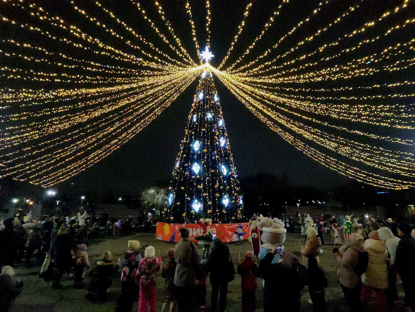 новый год, ёлка, открытие сезона, Парк, гуляние в парке,
