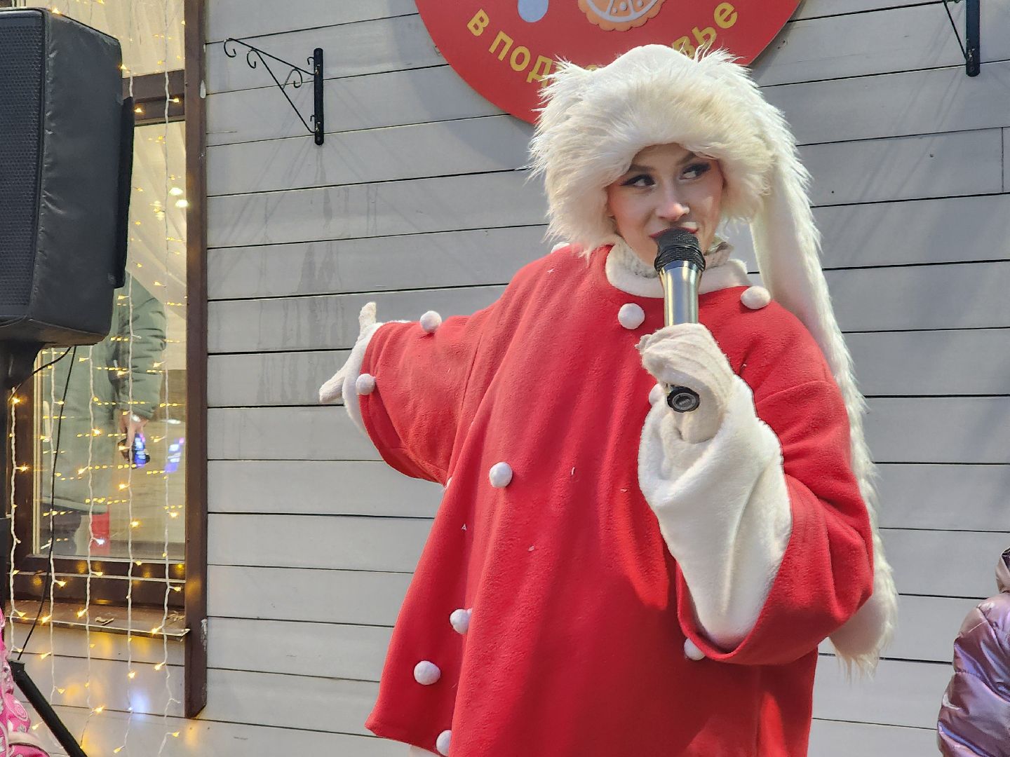 Ногинск, Дети, новый год, письмо деду морозу, резиденция деда мороза, Парк,