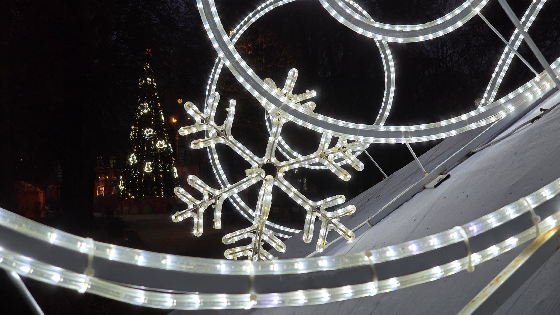 Коломна, старт зимнего сезона, зима в подмосковье, подготовка к новому году, новогодняя елка,