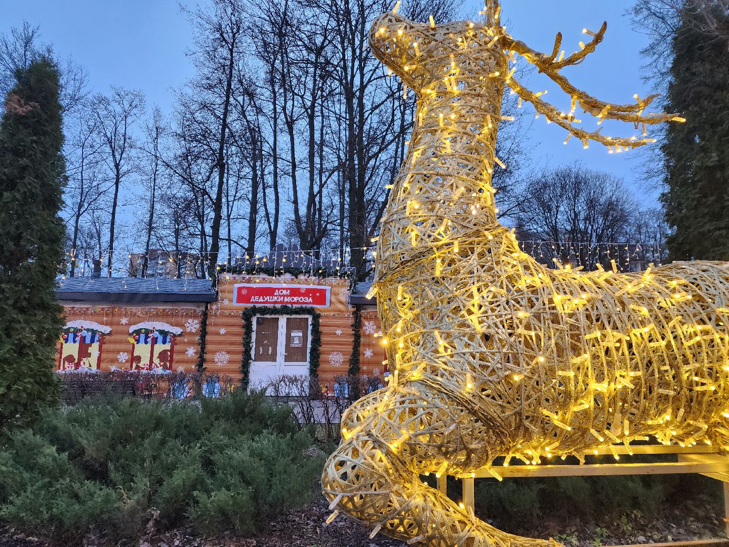 Подольск , Парк талалихина , зима в подмомсковье,