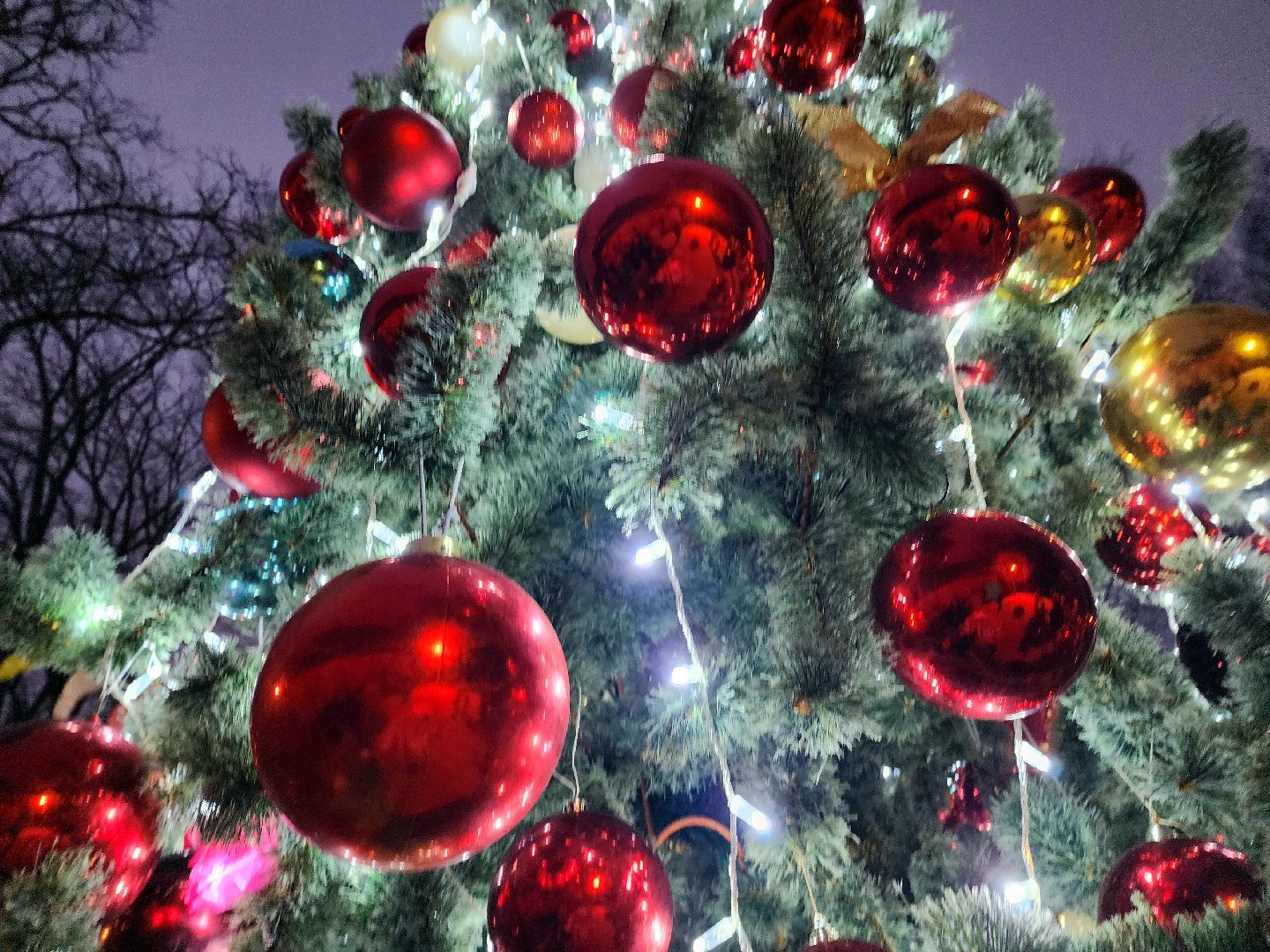 солнечногорск , зима,  праздник , новый год, дети,