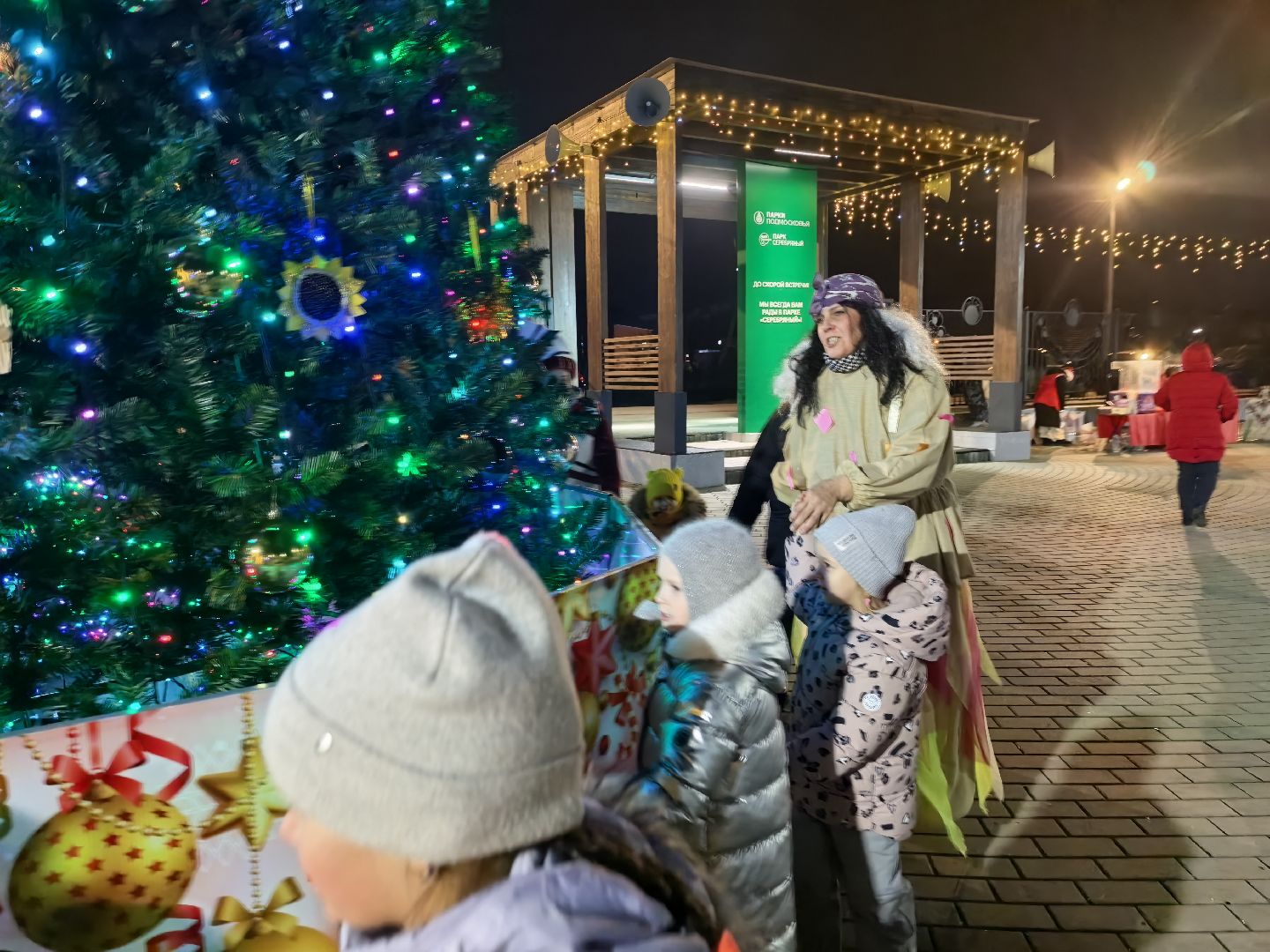 серебряные пруды, новый 2026 год, парк серебряный, открытие зимнего сезона, зима в подмомсковье,