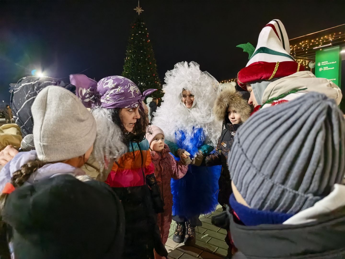 серебряные пруды, новый 2026 год, парк серебряный, открытие зимнего сезона, зима в подмомсковье,