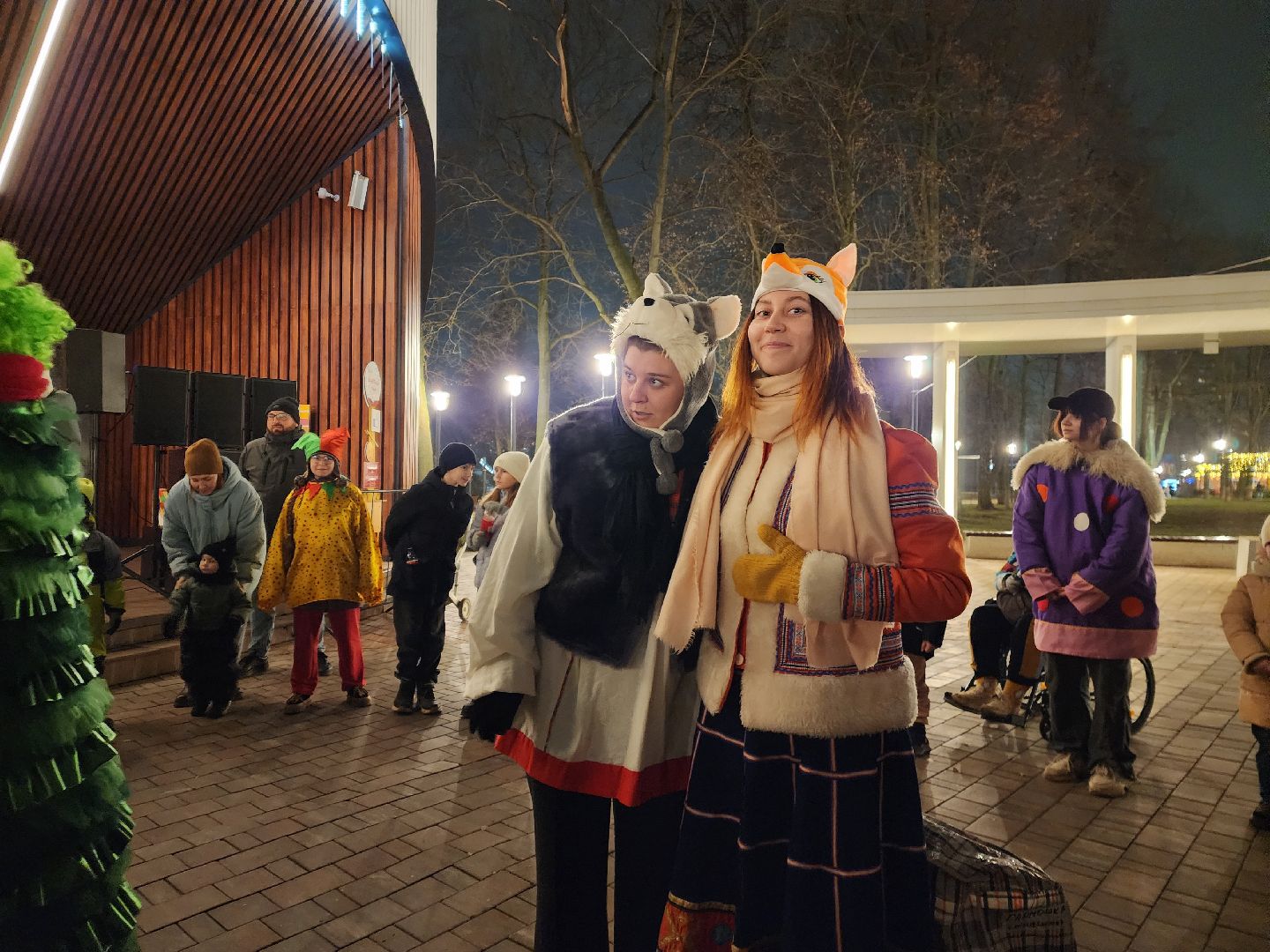 Подольск , Парк талалихина , Зима в  Подмосковье ,