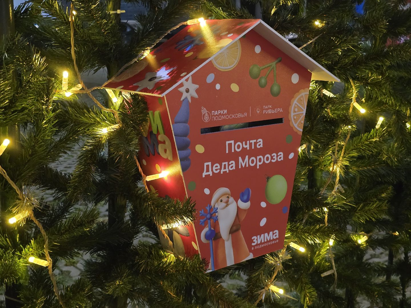 можайск, можайский муниципальный округ, подмосковье, новый год, общество, празник в парке, зимний сезон, открытие резиденции деда мороза, почта деда мороза,зима в подмосковье,