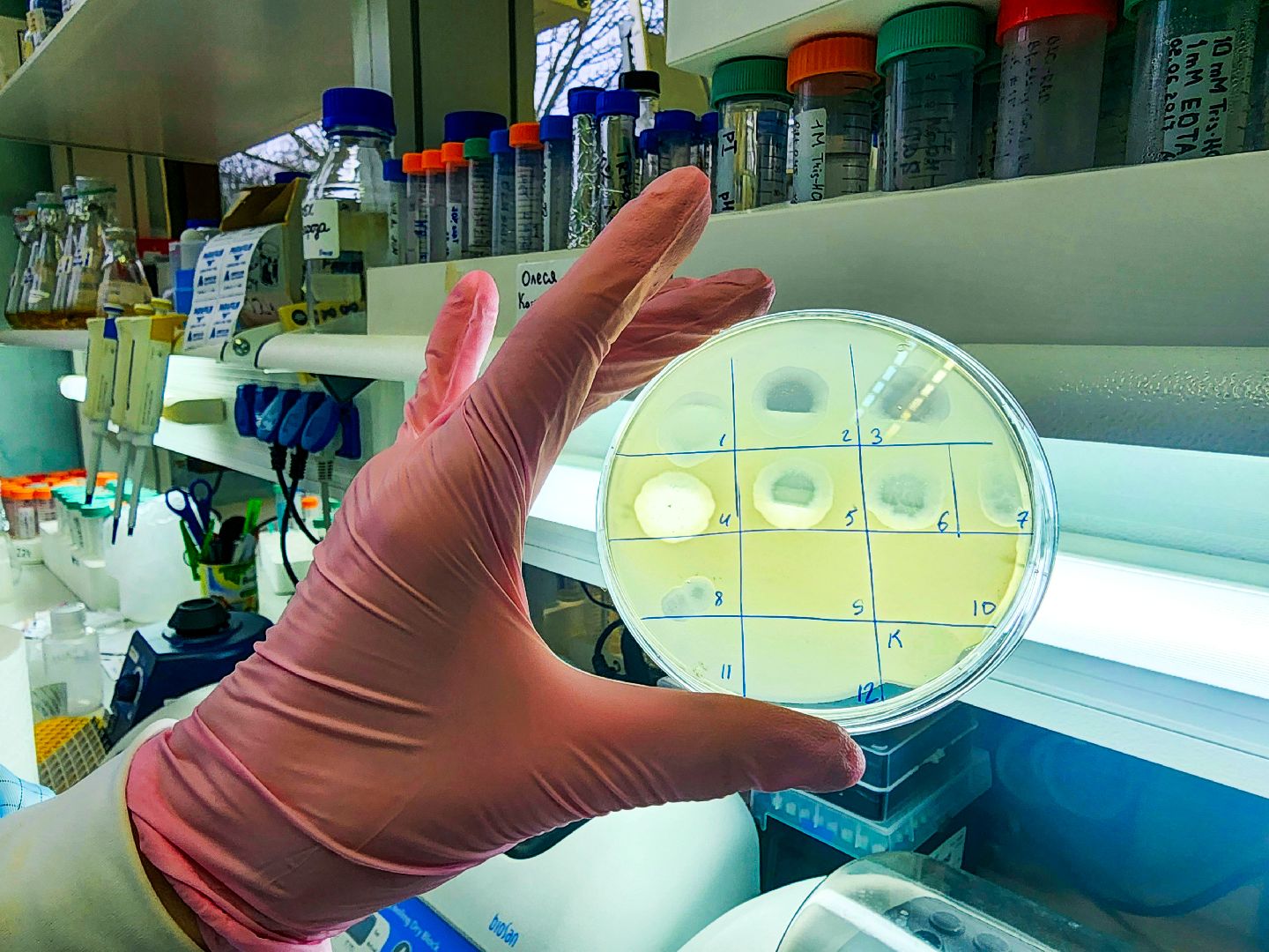 наука, премия губернатора, молодые ученые, серпухов, пущино, наукоград,