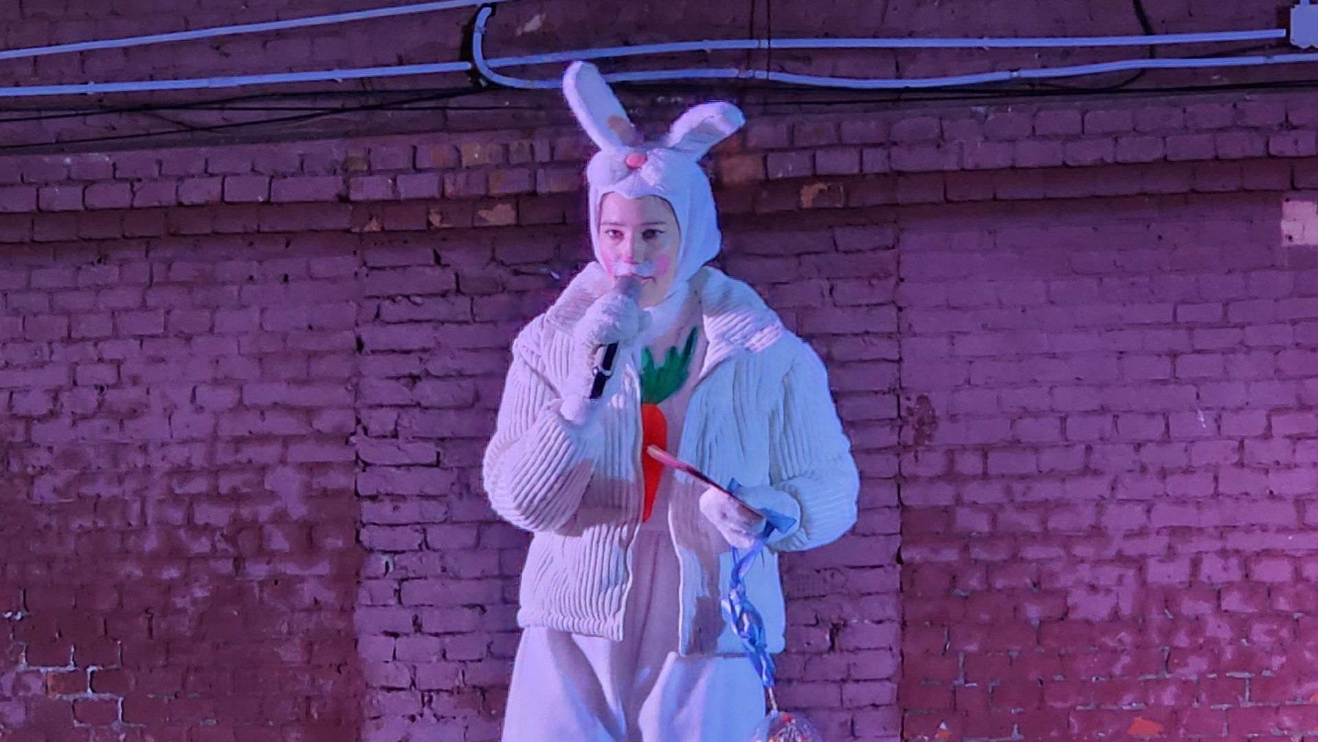 клин, высоковск, березовый парк, открытие зимнего сезона,