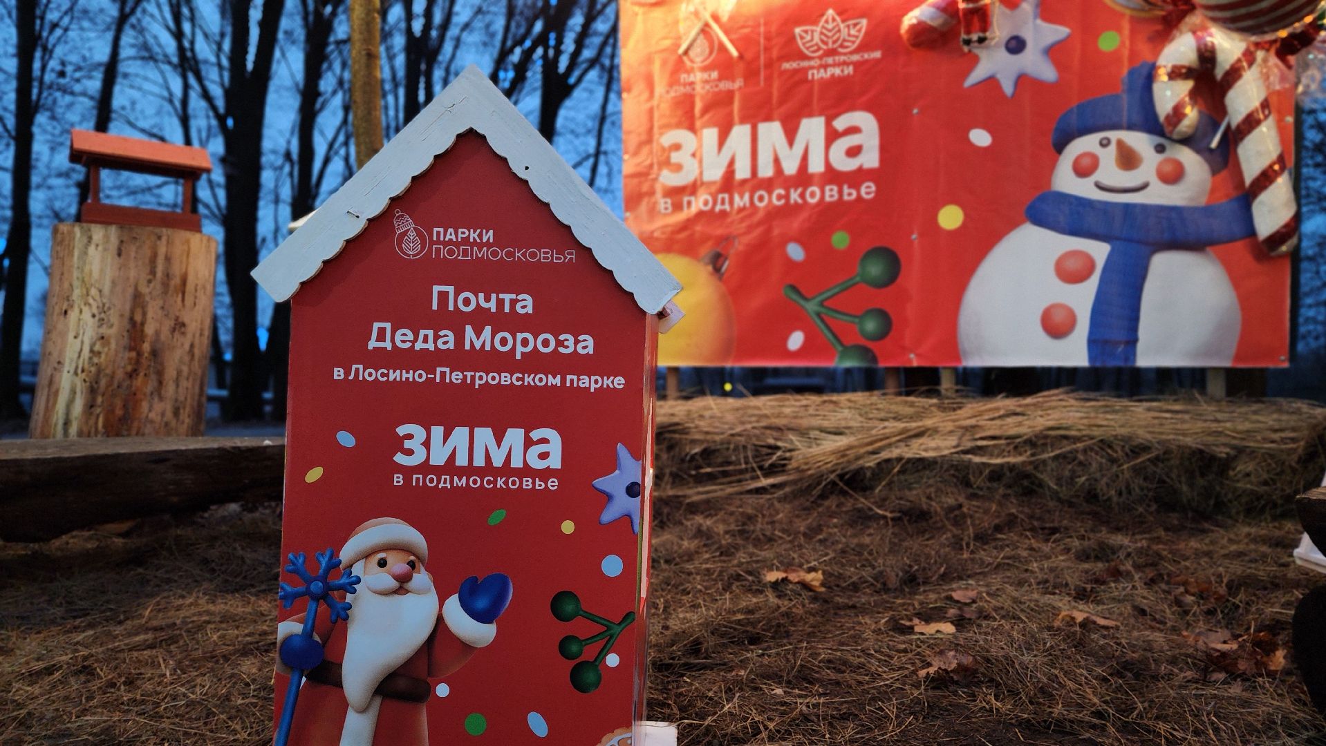 праздник, зимний сезон,  парки подмосковья, лосино-петровский,