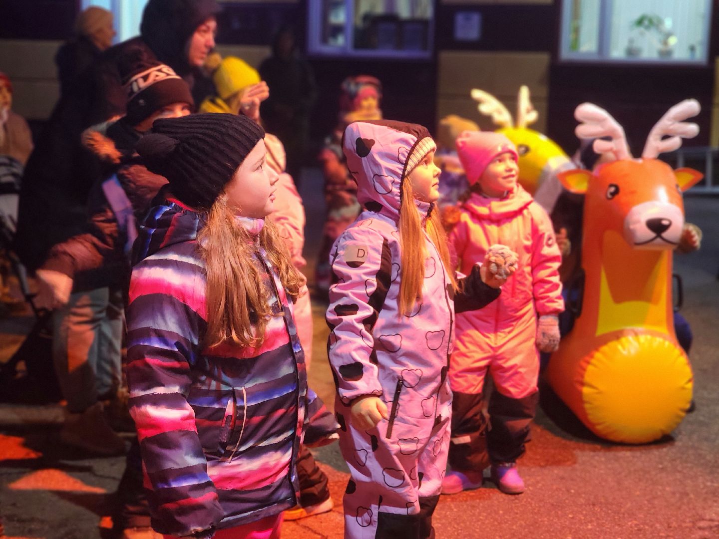 дубна, парк семейного , зимний сезон, зима в подмомсковье,