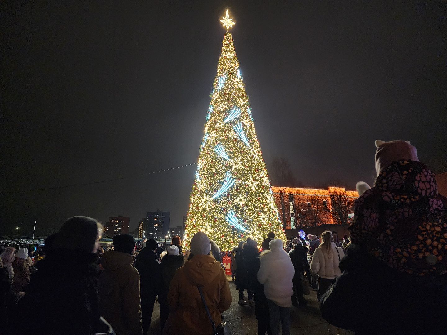 дубна, парк семейного , зимний сезон, зима в подмомсковье,