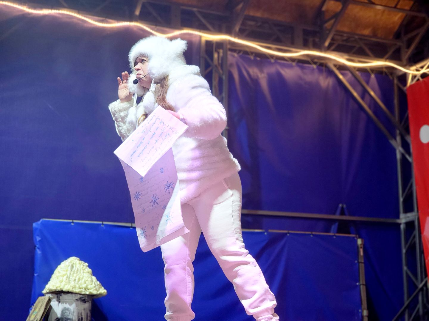 дубна, парк семейного , зимний сезон, зима в подмомсковье,