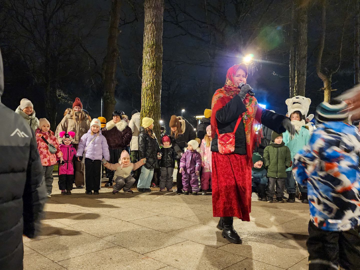 Подольск, Парк Дубрава, зима в подмомсковье, Парки Подмосковья,