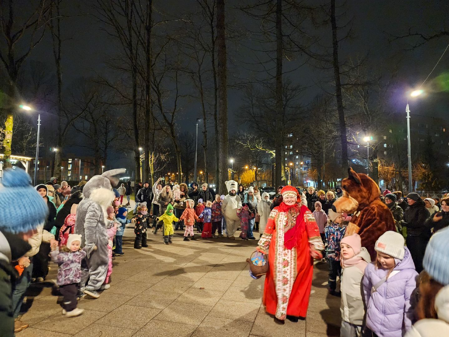Подольск, Парк Дубрава, зима в подмомсковье, Парки Подмосковья,