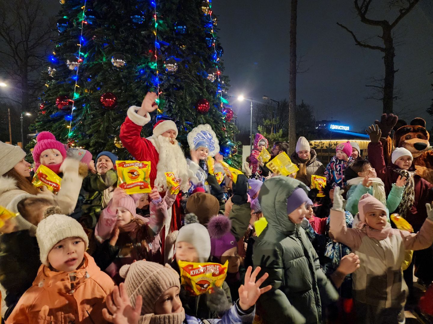 Подольск, Парк Дубрава, зима в подмомсковье, Парки Подмосковья,