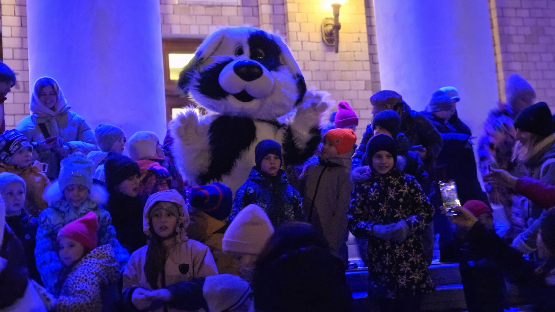 зимний сезон, новогодняя елка, жуковский,