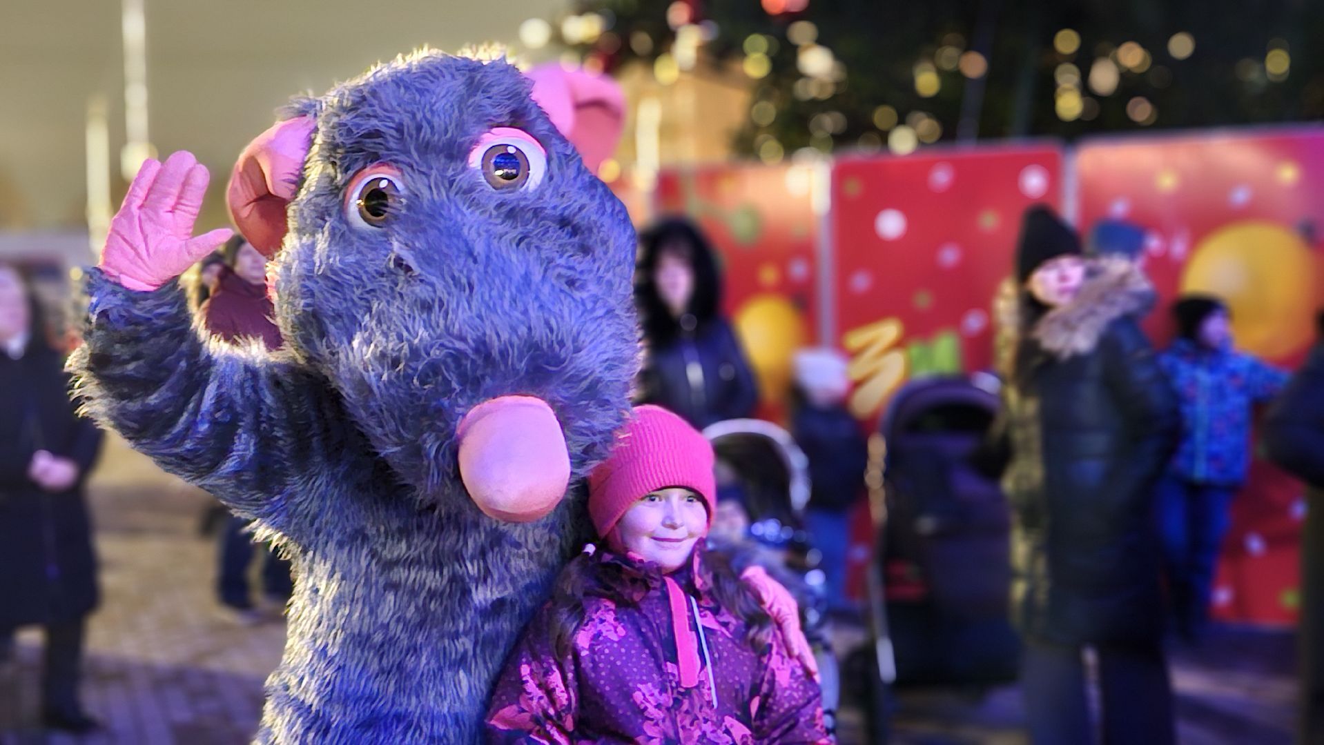 зимний сезон, новогодняя елка, жуковский,
