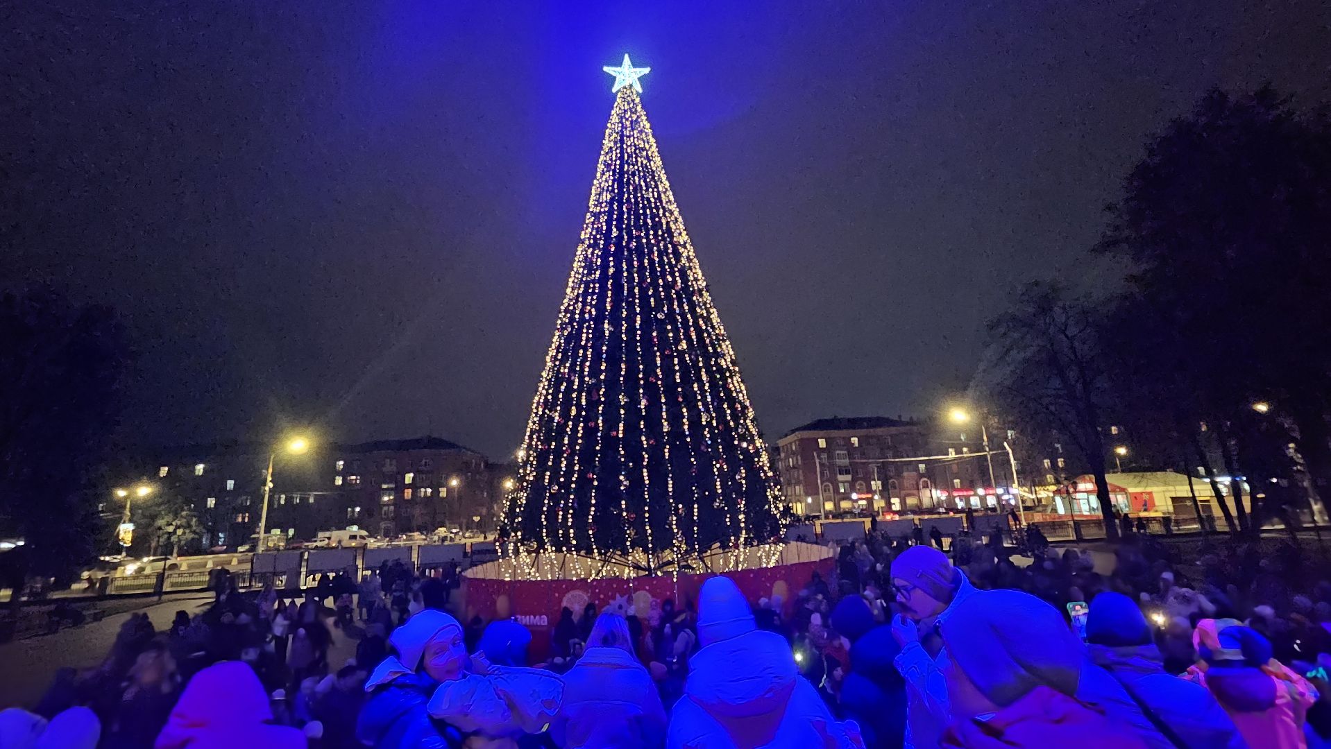 зимний сезон, новогодняя елка, жуковский,