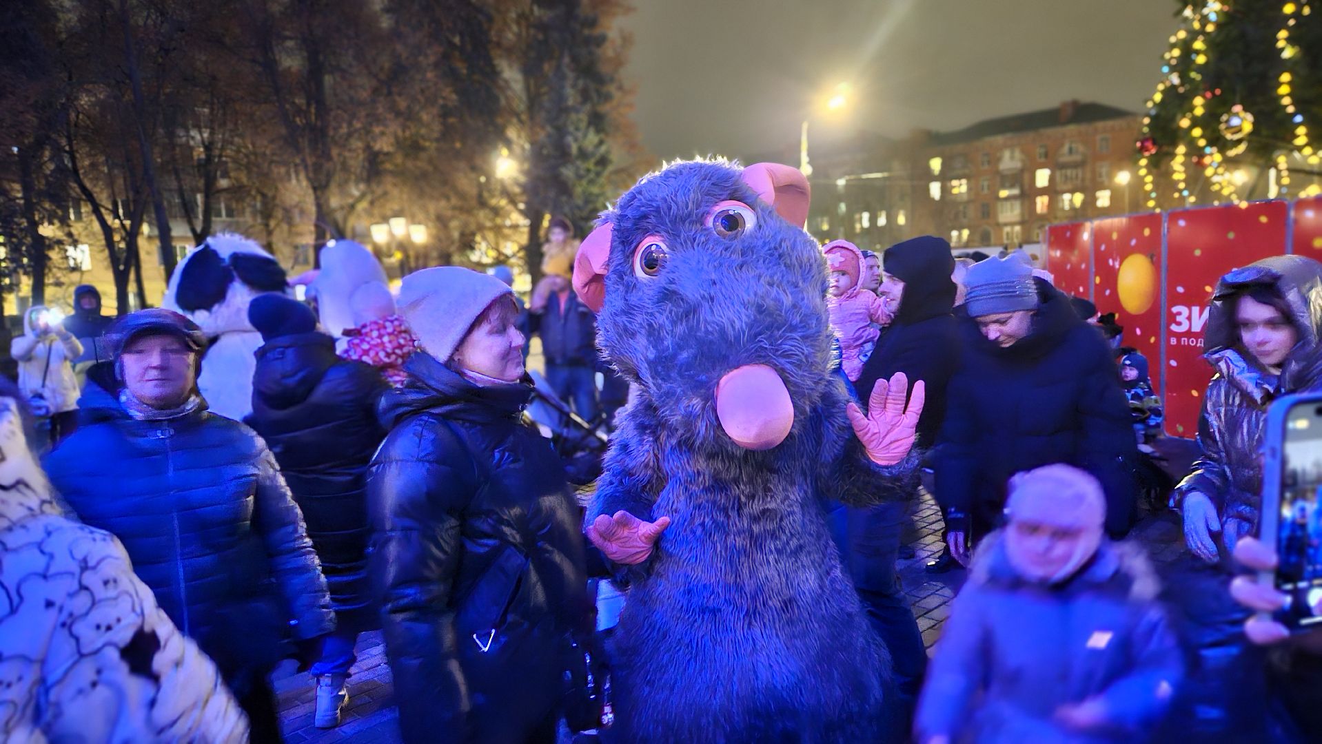 зимний сезон, новогодняя елка, жуковский,