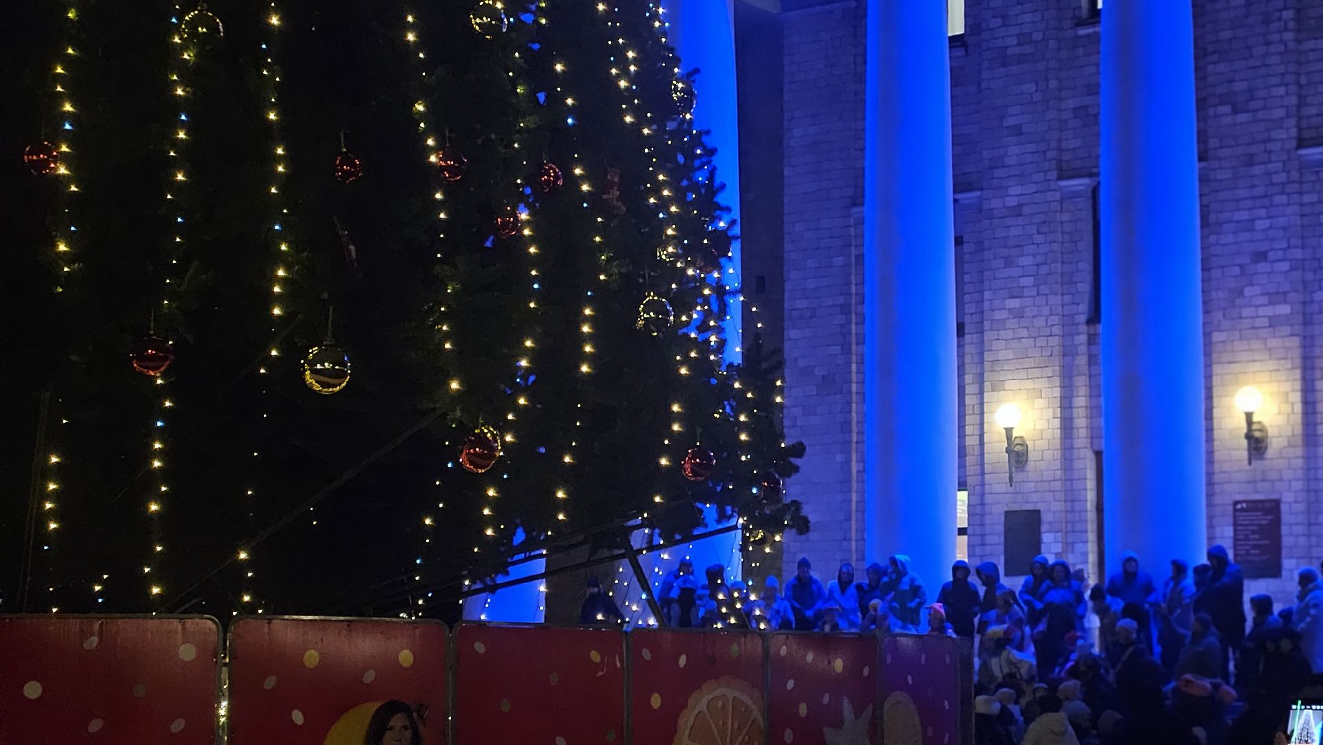 зимний сезон, новогодняя елка, жуковский,