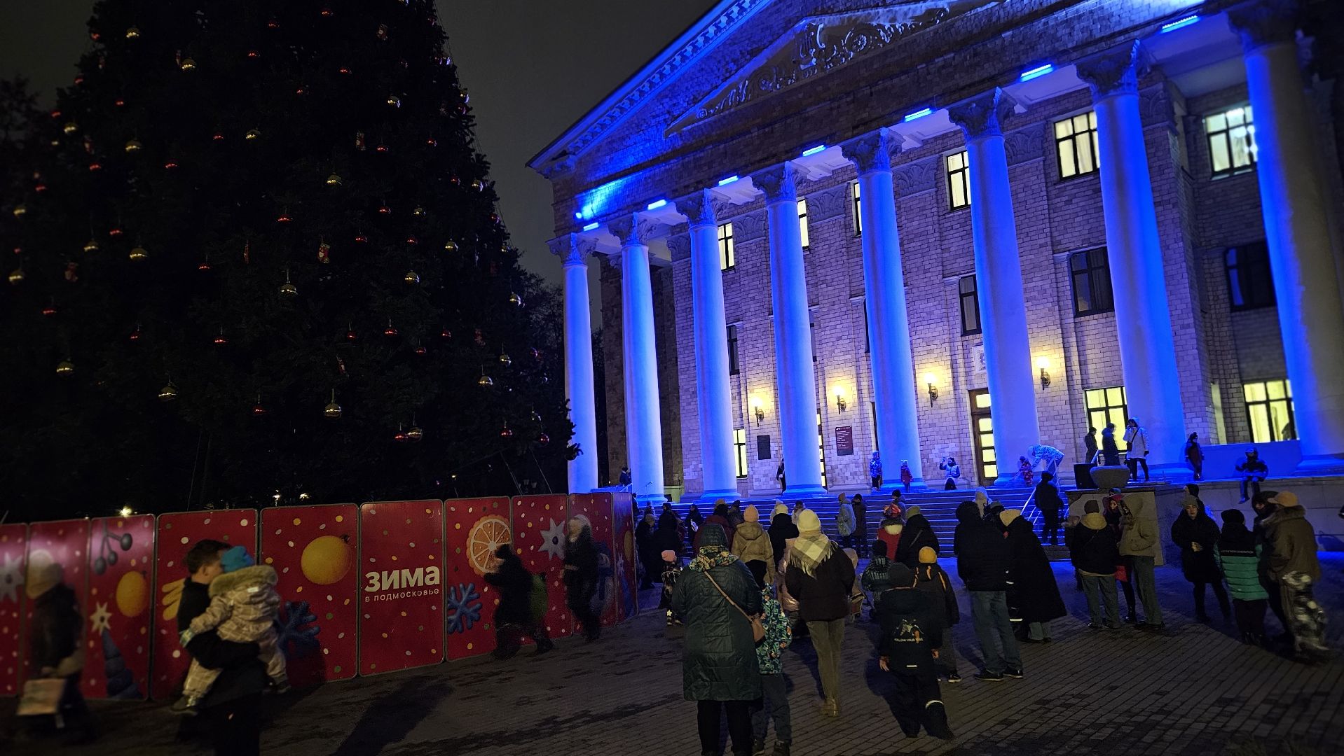 зимний сезон, новогодняя елка, жуковский,