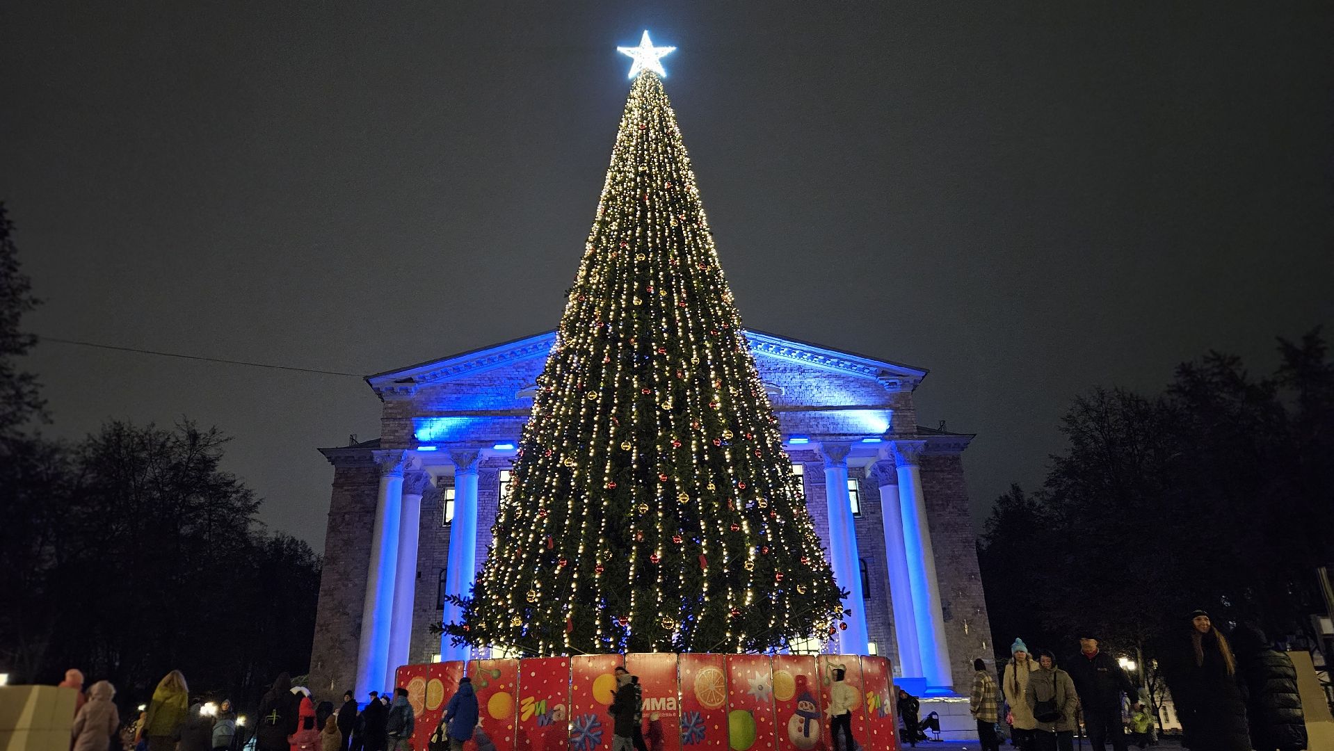 зимний сезон, новогодняя елка, жуковский,