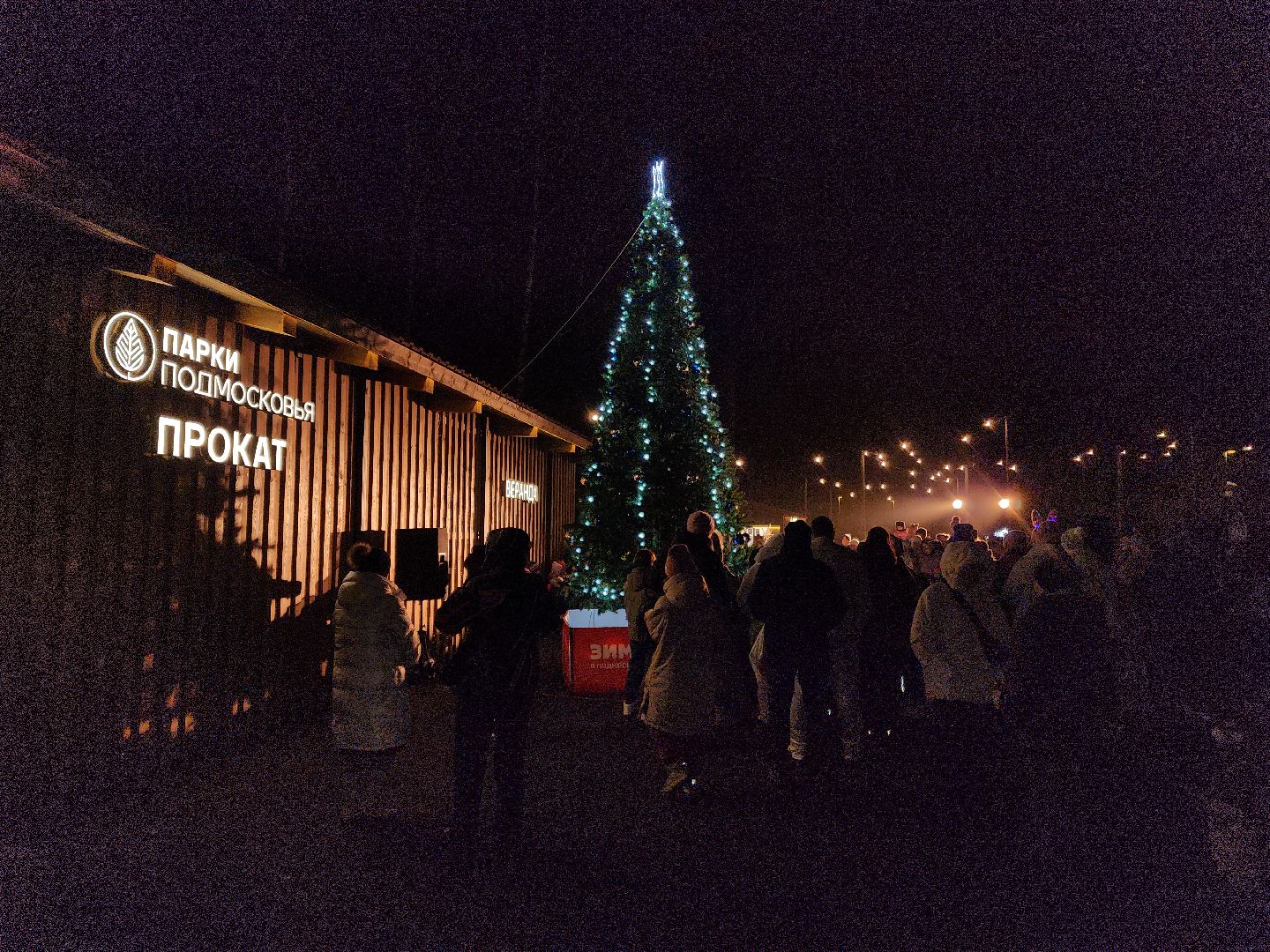городской округ пушкинский, старт зимнего сезона, красноармейск, банный лес,