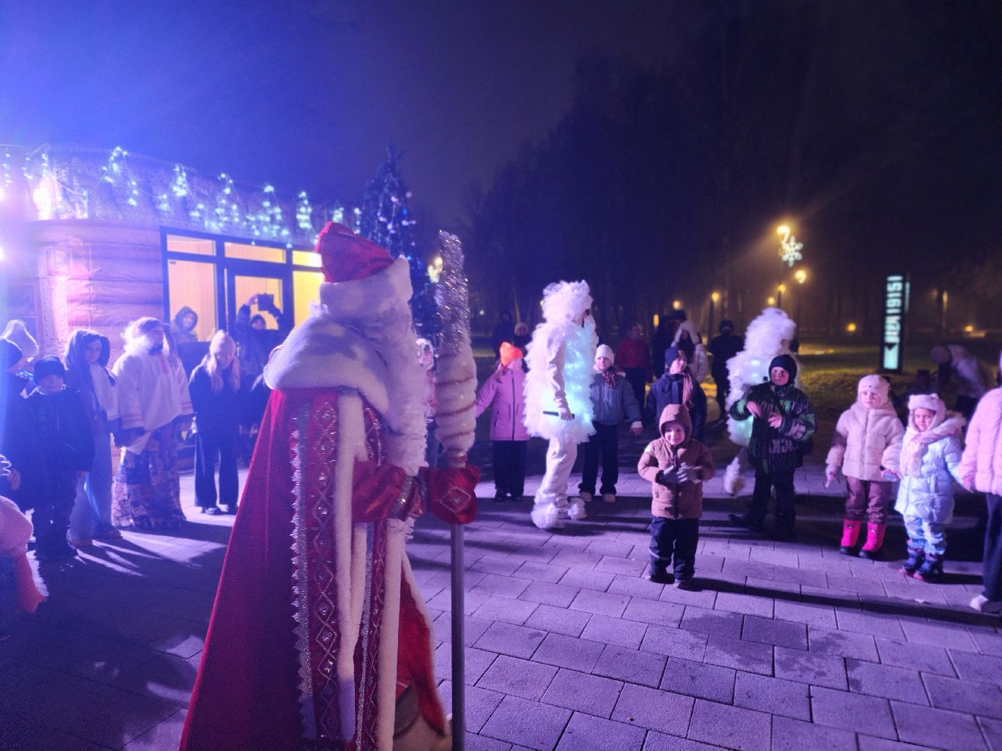 сергиево-посадский городской округ, краснозаводск, парк победы, зима в  подмосковье, зимний сезон в парке, ёлка,