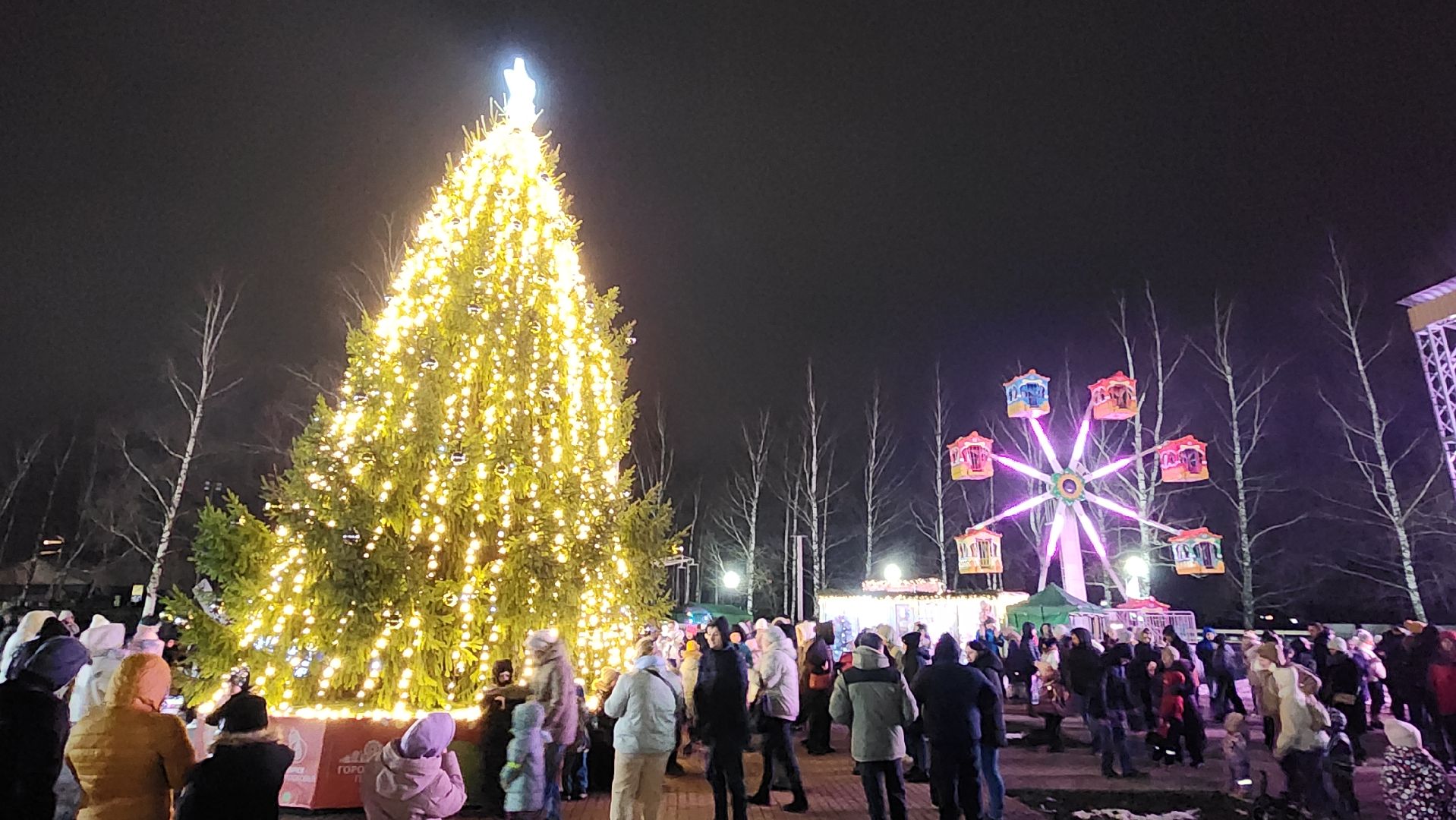 шаховская, новогоднее настроение, главная елка, зима в  подмосковье,