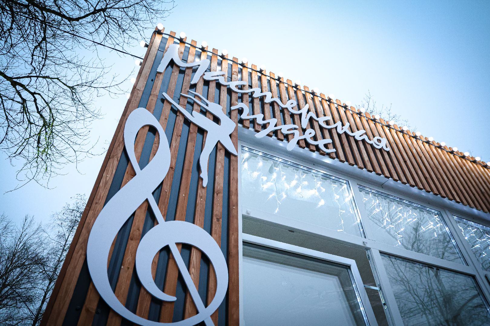 клин, общество, зима в  подмосковье, открытие резиденции деда мороза,