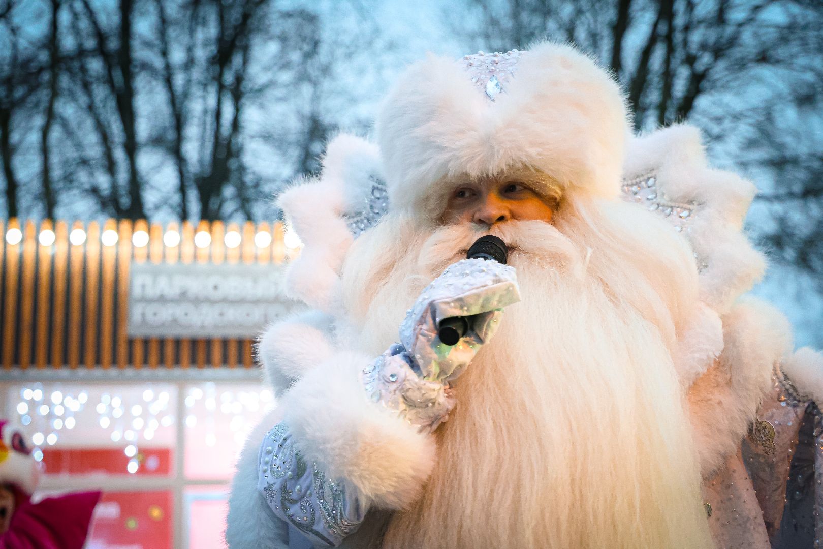 клин, общество, зима в  подмосковье, открытие резиденции деда мороза,