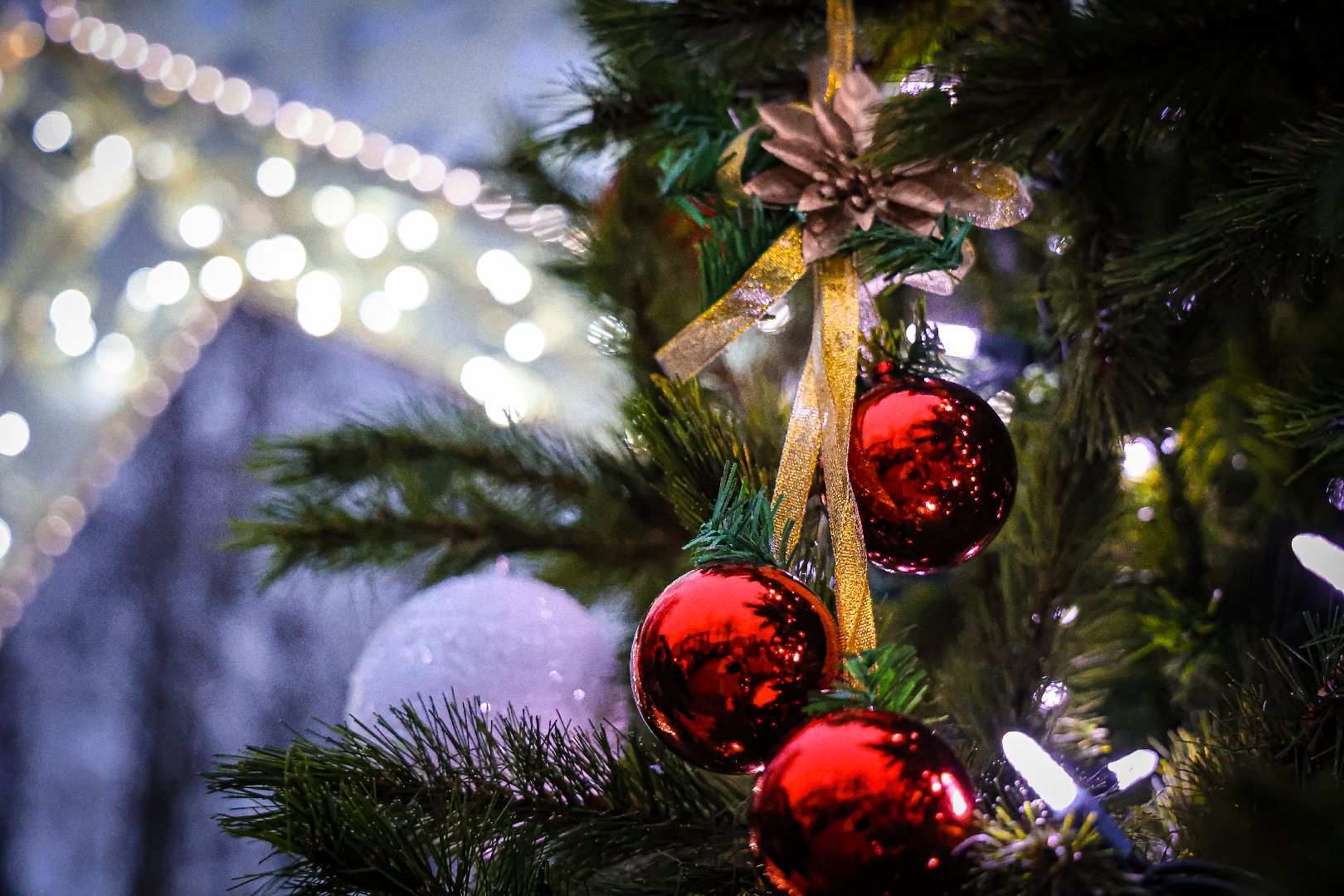 клин, общество, зима в  подмосковье, открытие резиденции деда мороза,