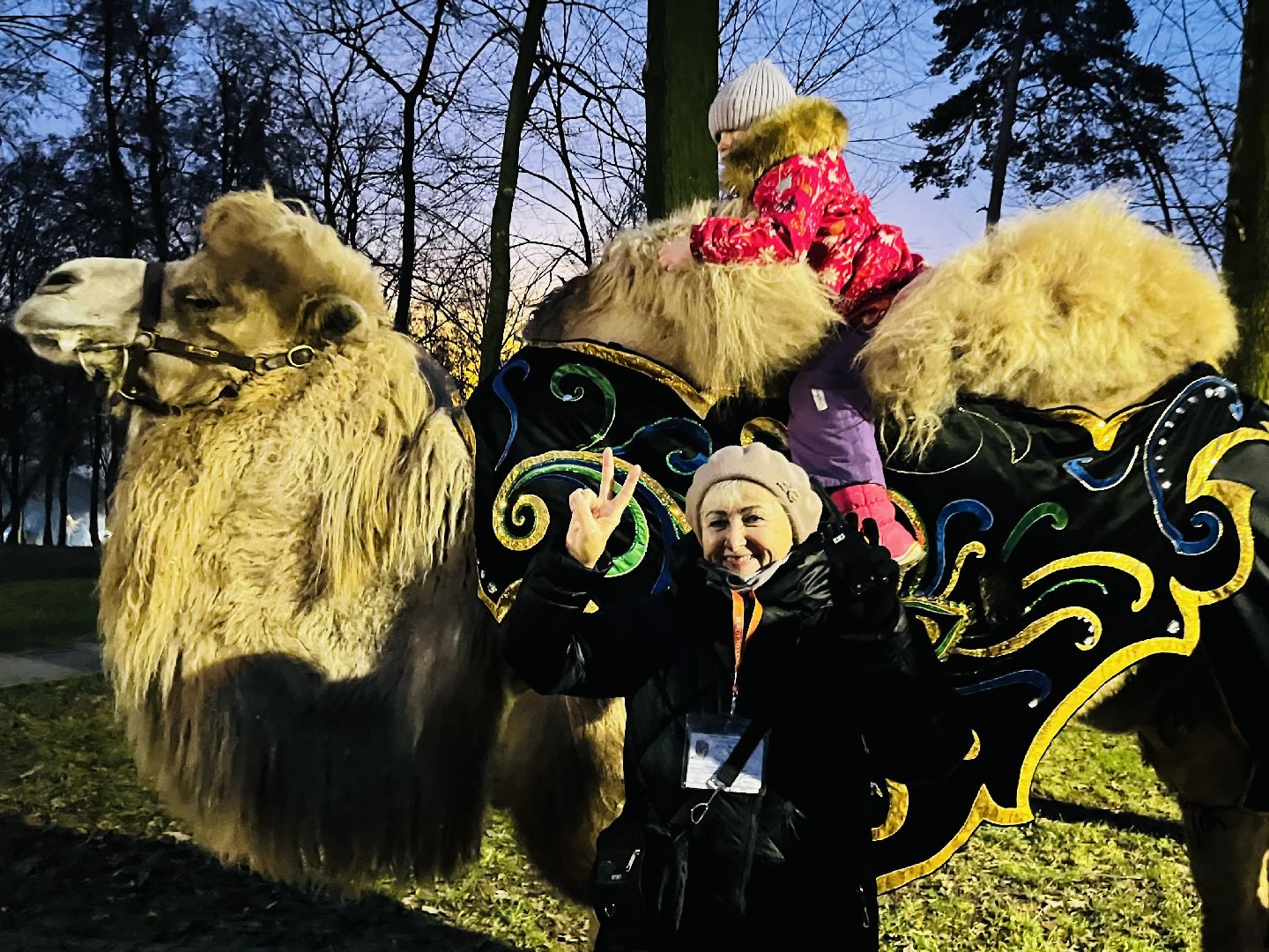 воскресенск, новый 2026 год, зимний сезон,