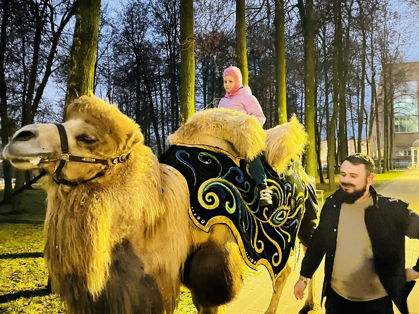 воскресенск, новый 2026 год, зимний сезон,