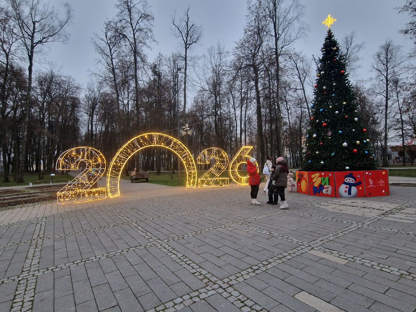 воскресенск, новый 2026 год, зимний сезон,