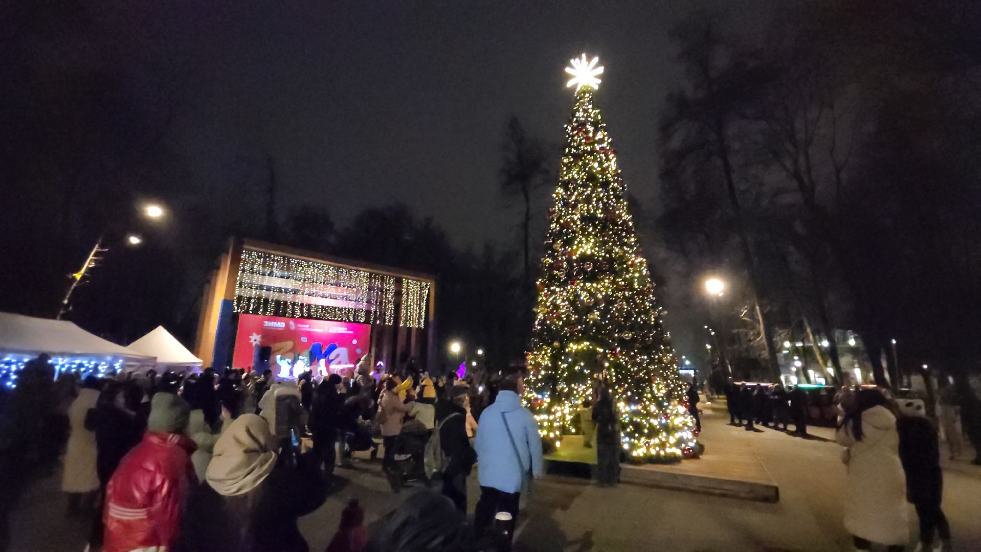 серпухов, парк имени олега степанова,  зима в подмосковье,