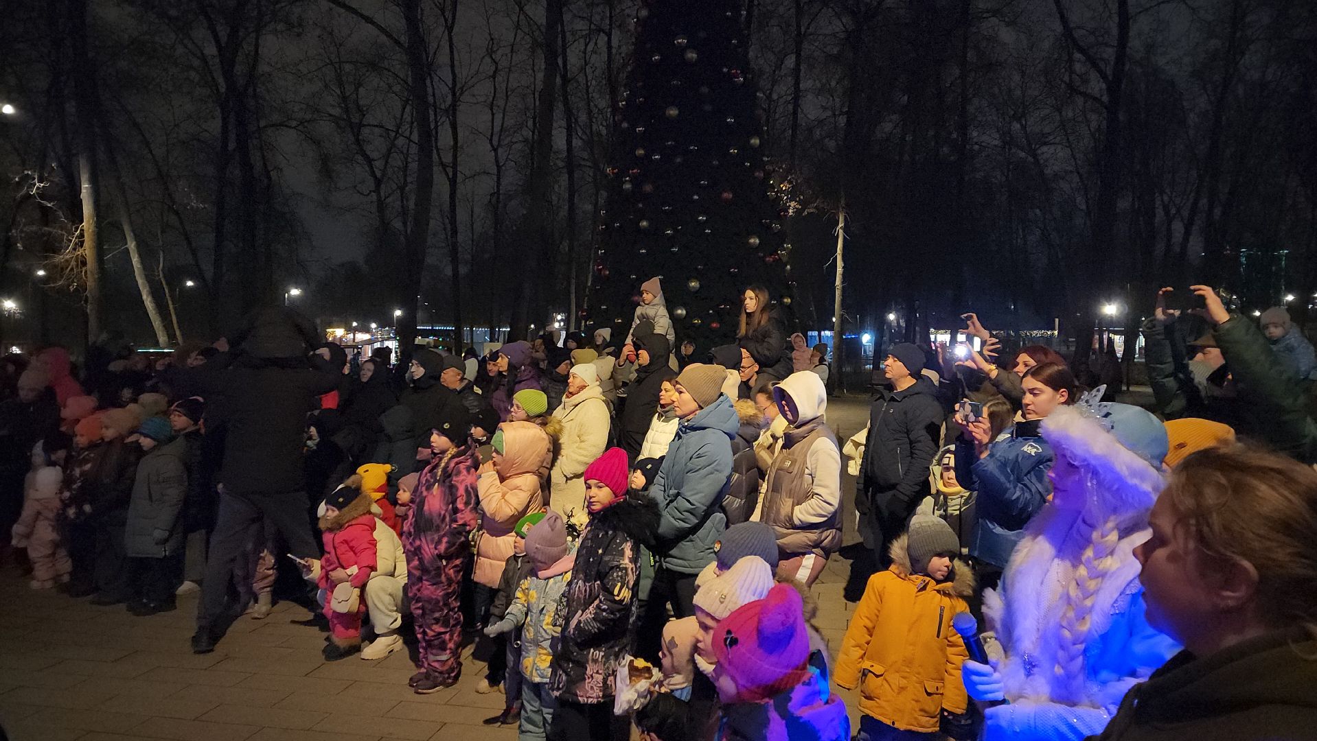 серпухов, парк имени олега степанова,  зима в подмосковье,