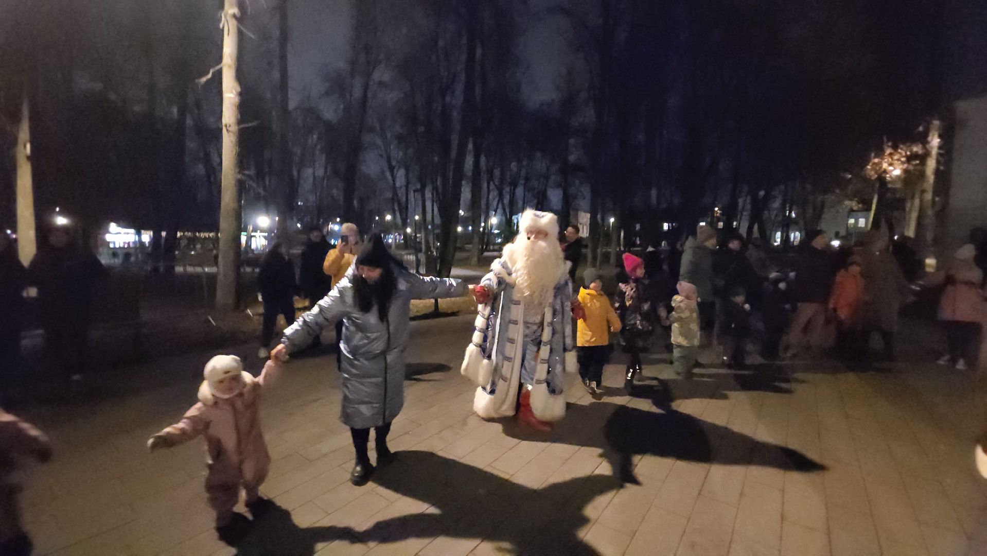 серпухов, парк имени олега степанова,  зима в подмосковье,