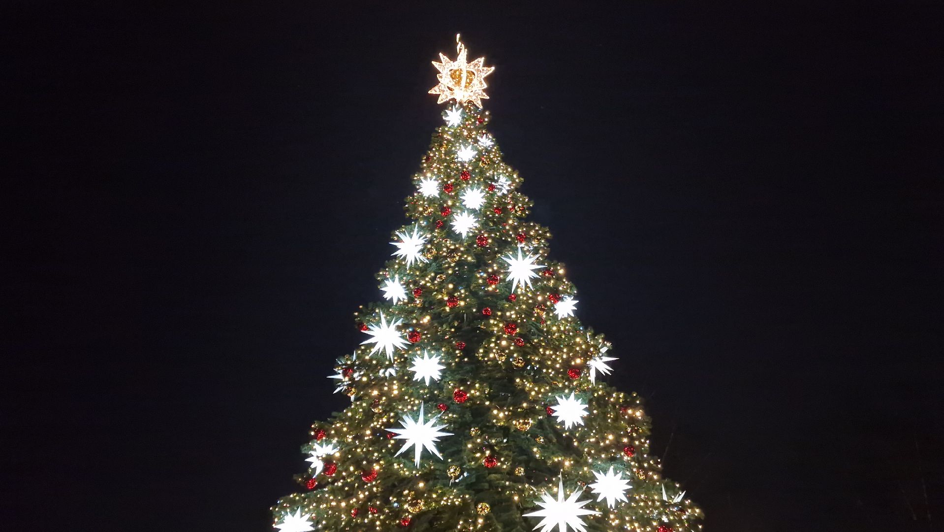 Дубна, ЗимавПодмосковье, Зажглиелку,